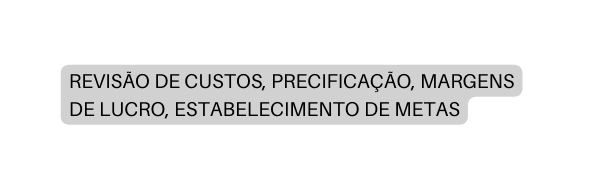 REVISÃO DE CUSTOS PRECIFICAÇÃO MARGENS DE LUCRO ESTABELECIMENTO DE METAS